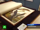      XIX     " "        Sotheby's        7,3   