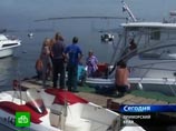 Ученые считают, что к берегам Приморья подошла не одна акула, которая совершила уже два нападения на людей, а целая стая хищных рыб