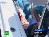 Все спасательные службы уже включились в борьбу с акулами