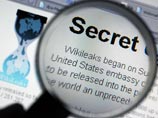  WikiLeaks   ,            .  2010            