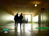  "           .       ,      ", -   