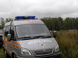 Семилетняя Света Васильева, которая накануне утром пропала в лесу в Костромской области, найдена живой и невредимой
