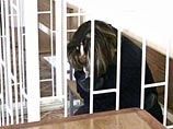 ��������� �����������, ������� ����-�������� � ������� �������, �������� 9 ��� �������