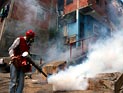 Вирус Зика в Бразилию могли занести футболисты Вирус Зика в Бразилию могли занести футболисты