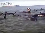 ����� 27 ����� - ����������� �������� � ��������� ����� - ����������� �� ���������� � ����� ������ ����������