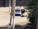 � ���������� ����� ����� ��������� ������������� ��� 5 ������������