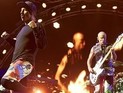   ,     RHCP  Metallica -   