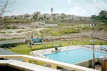       .    forum.hagalil.com