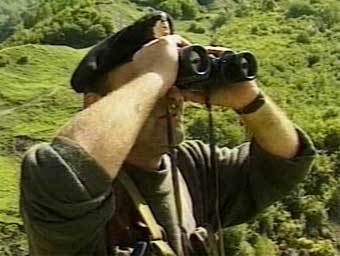 ���������� �����������. ���� ���