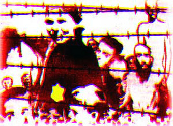    www.jewishworldreview.com