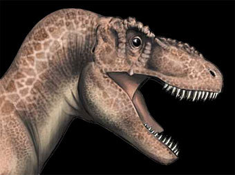 Tyrannosaurus Rex, ������� � ����� dinosauria.com