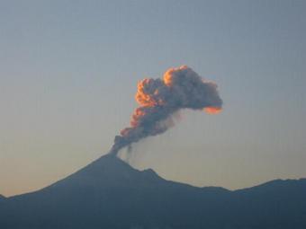 ������ ������ � �������, ���� � ����� mexicoinvestigations.com