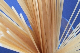 ��������, ���� � ����� lesestein.de