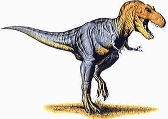 Tyrannosaurus Rex �������� "������" ��������������, ������� � ����� rainbowdolphin.com