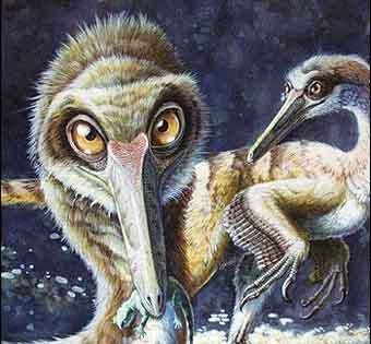 Buitreraptor. �����������, ���������� �� �������� ������� Nature