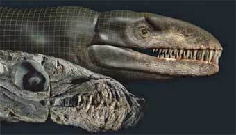 Dakosaurus andiniensis. ����������� � ����� ������� National Geographic