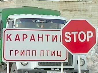 Карантинная зона в Краснодаре. Кадр Первого канала