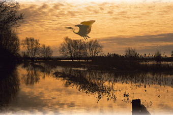  ,    riverparrett-trail.org.uk