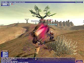   Final Fantasy XI