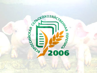     - 2006