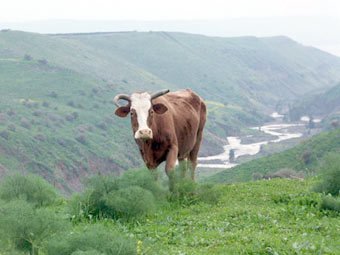        .    agrisupportonline.com