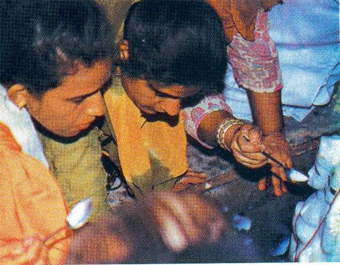      1995 ,    milkmiracle.com