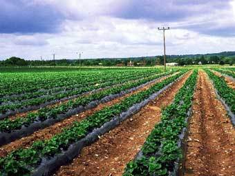    .    geograph.org.uk