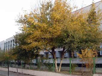 Здание школы в Туркмении. Фото с сайта mekdep.com.