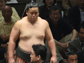 ������ ��������� �� �������� ���������. ���� � ����� japan-sumo.ru