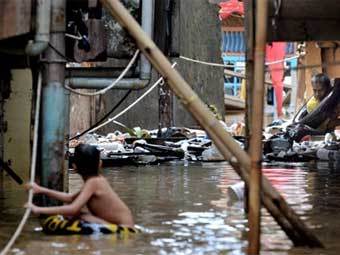 ���������� � ��������. �������� ���� (�)AFP