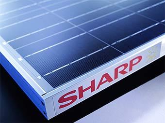 ��������� ������� Sharp. ���� � ����� greenpacks.org