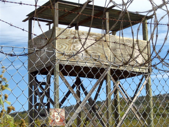 ���� � ����������. ���� &copy;AFP