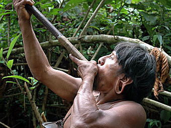 ���� ������� ������� �� ����� � ������� �������. ���� � ����� amazon-tribes.com
