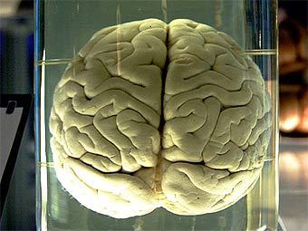 �������� ���� �������� � ���������. ���� ������������ Kaldari � ����� wikipedia.org