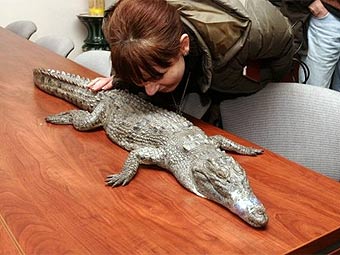 �������� � ���������� ��� �������. ���� "�������"