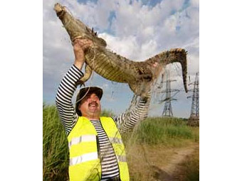 ��������� ��������� ��� ������ ������� � �����. ���� ������� �������� � ����� viknaodessa.od.ua