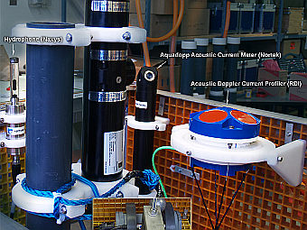 �����������, ������� ����������� �� ����� Neptune Canada. ���� � ����� �������