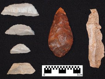 � ������ ������ - "����������" ������. ����   Kyle Brown/South African Coast Paleoclimate, Paleoenvironment, Paleoecology, Paleoanthropology Project