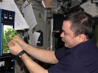���� 14-�� ������� ��� ������ ����� �������� ���� � ���������� �� ����� �������. ���� NASA