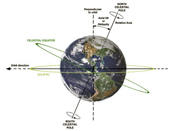 ����� � ��� ��������. ����������� Dna-webmaster � ����� wikipedia.org