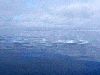 �����, ��� � ������, �������� ������ �����. ���� ������������ Moni3 � ����� wikipedia.org