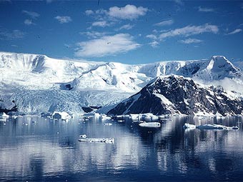 ����������. ���� � ����� marinebio.net