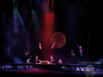    cirquedusoleil.com