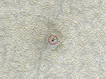 ������ ���������� "�������". ���� NASA/JPL-Caltech/University of Arizona