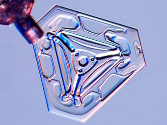 ����������� ��������. ���� Kenneth Libbrecht/Caltech/snowcrystals.com