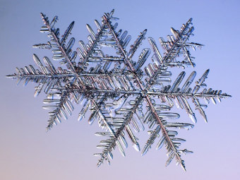 ��������. ���� Kenneth Libbrecht/Caltech/snowcrystals.com