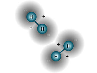 ����������� ����������� ������� �������� � ����� lxsa.physik.uni-bonn.de