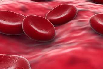 ������� �������� ������ ��������. ����������� � ����� fi.edu