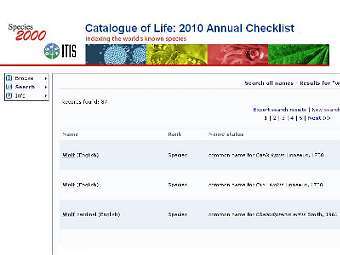 �������� � ����� "�������� �����"