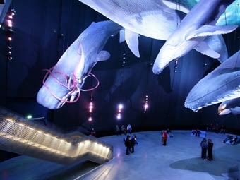   Ozeaneum.    